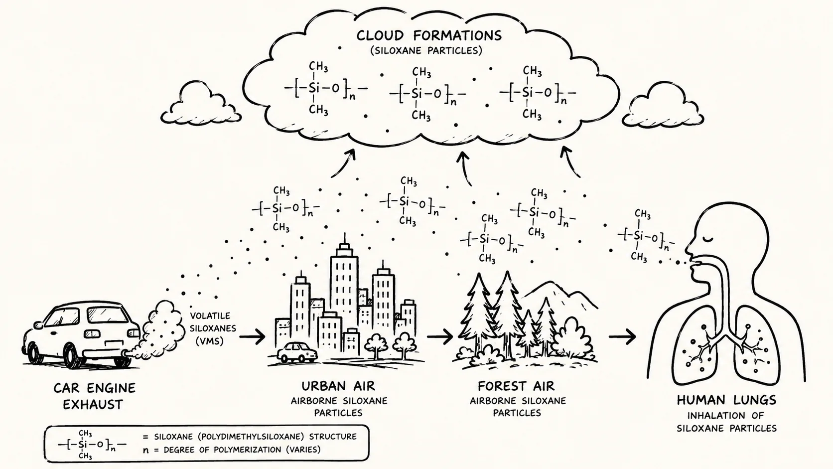Recent research identifies methylsiloxanes as a major airborne pollutant. These silicone-based compounds from engine oil additives survive combustion, spreading from cities to forests and potentially impacting human health and global climate processes.