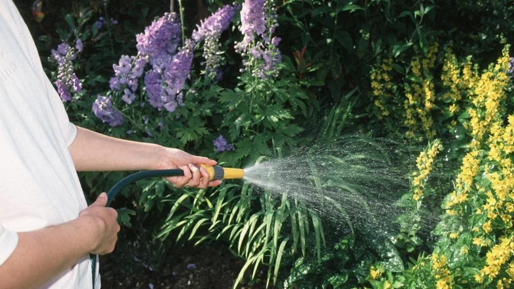 South East Water says the restrictions are necessary to help maintain supplies