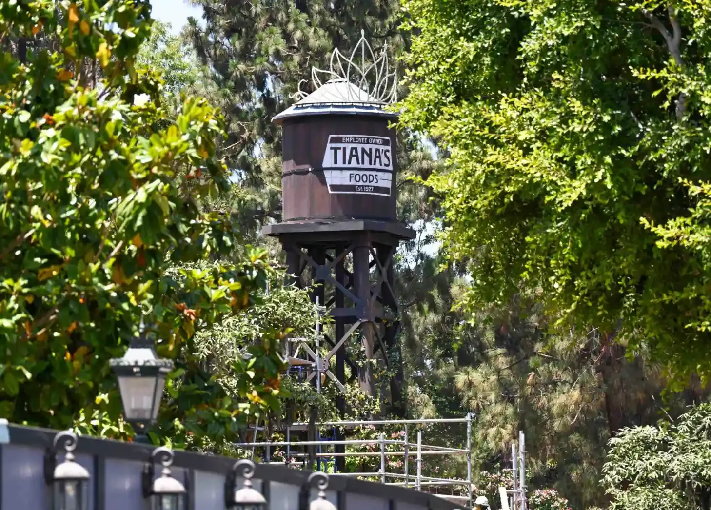Tiana’s Bayou Adventure at Critter Country inside Disneyland opened to the general public on Nov. 15 after weeks of previews for Magic Key annual passholders and Disneyland employees. (Photo by Jeff Gritchen, Orange County Register/SCNG)