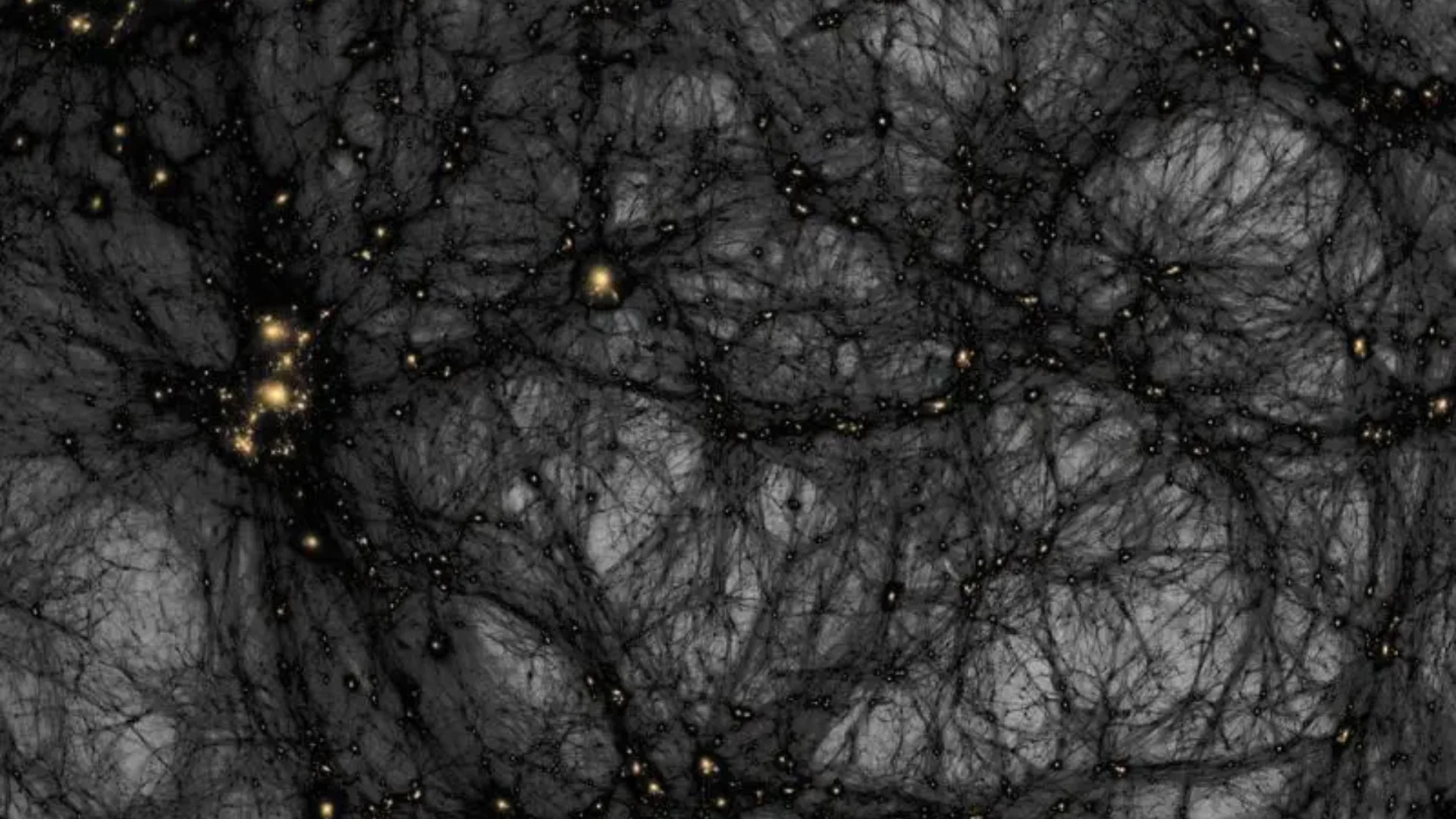 A simulation of the formation of dark matter structures from the early universe until today. Ralf Kaehler/SLAC National 