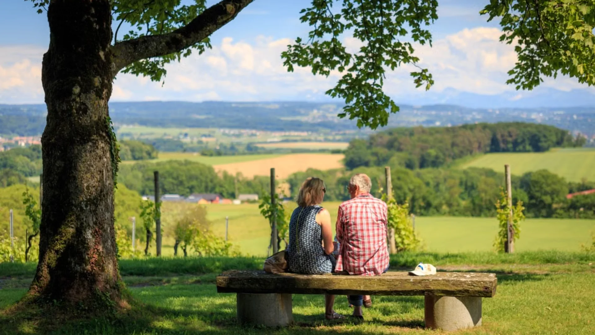The elderly couple sat on a wooden bench under the shade of a tree, gazing at the vast, lush green landscape of the hill
