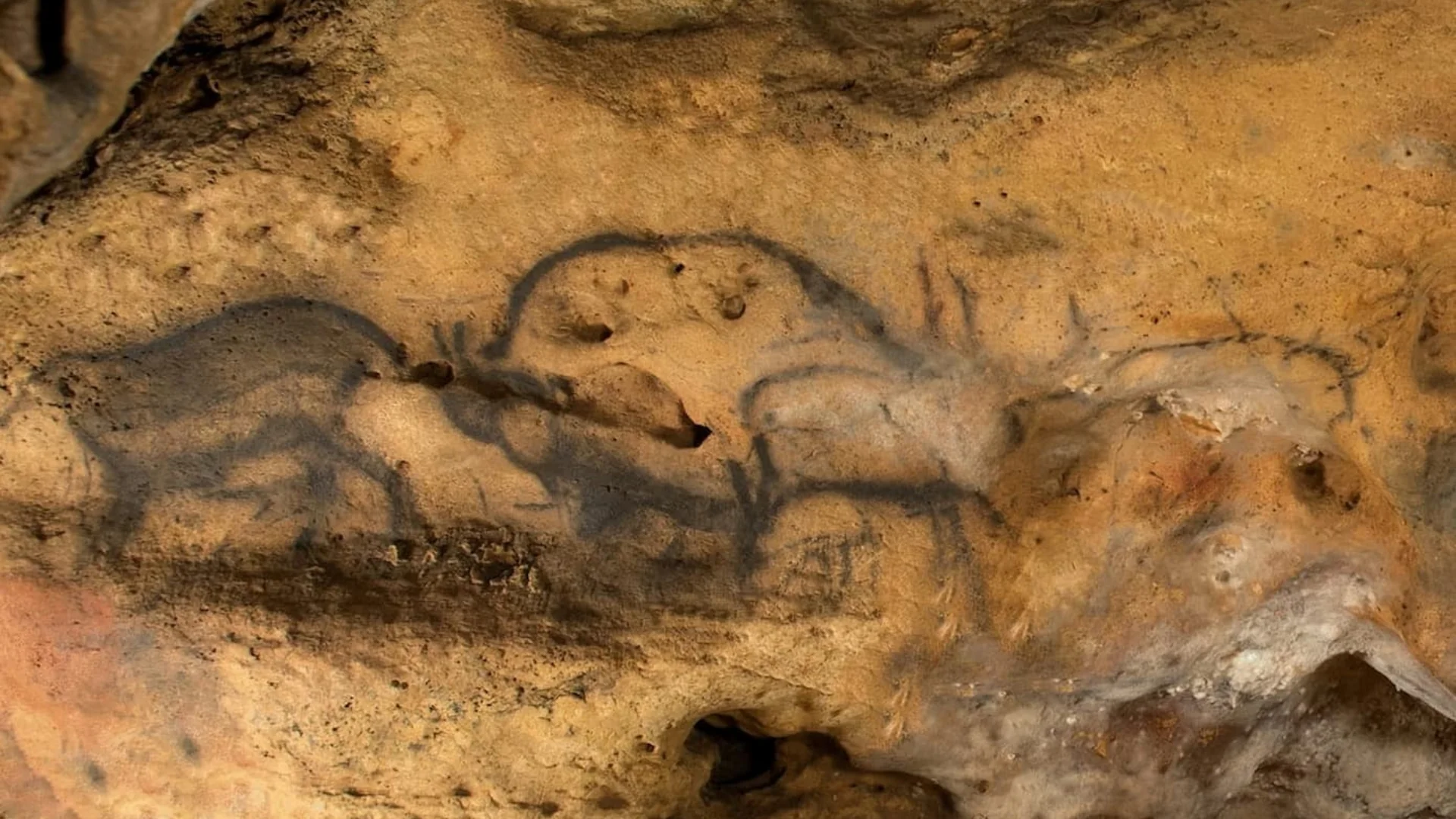 Prehistoric cave paintings at Font-de-Gaume in Dordogne, France.