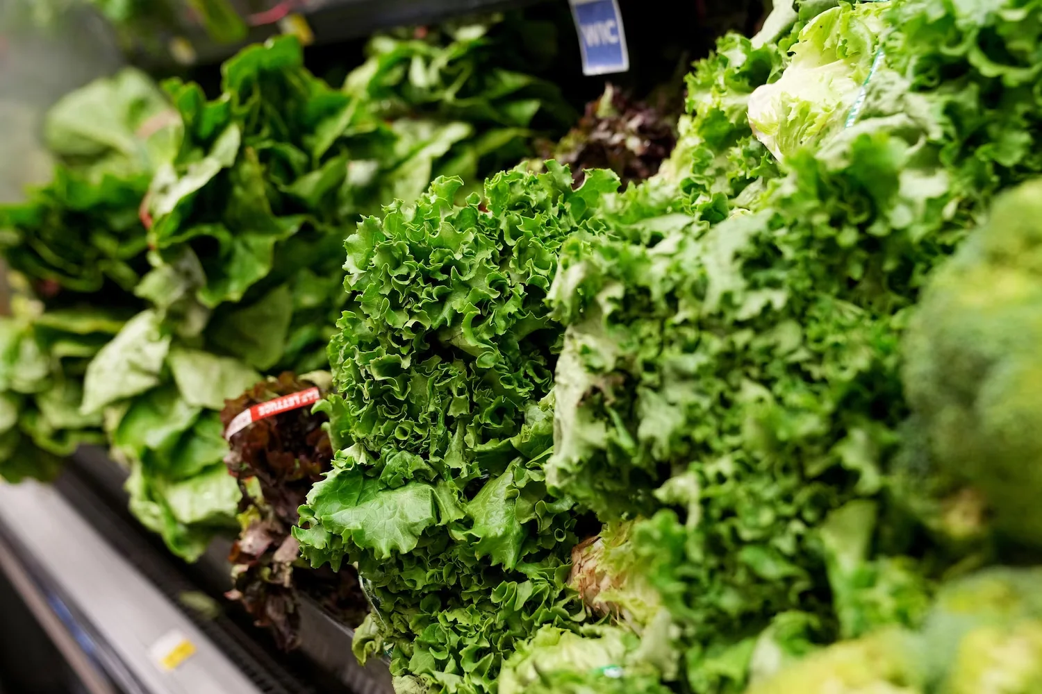 Lettuce is stocked in the produce section at a grocery store chain in Minneapolis, July 31, 2026. Ellen Schmidt/AP Photo