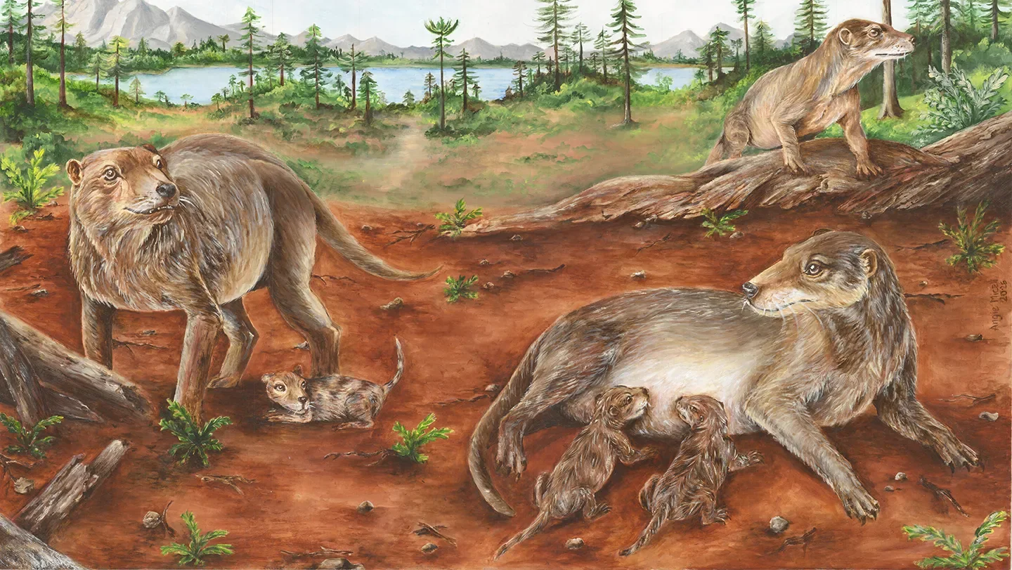 Life reconstruction of pregnant and nursing Chiniquodon theotonicus females. Art: María de los Ángeles Miceli Baro.