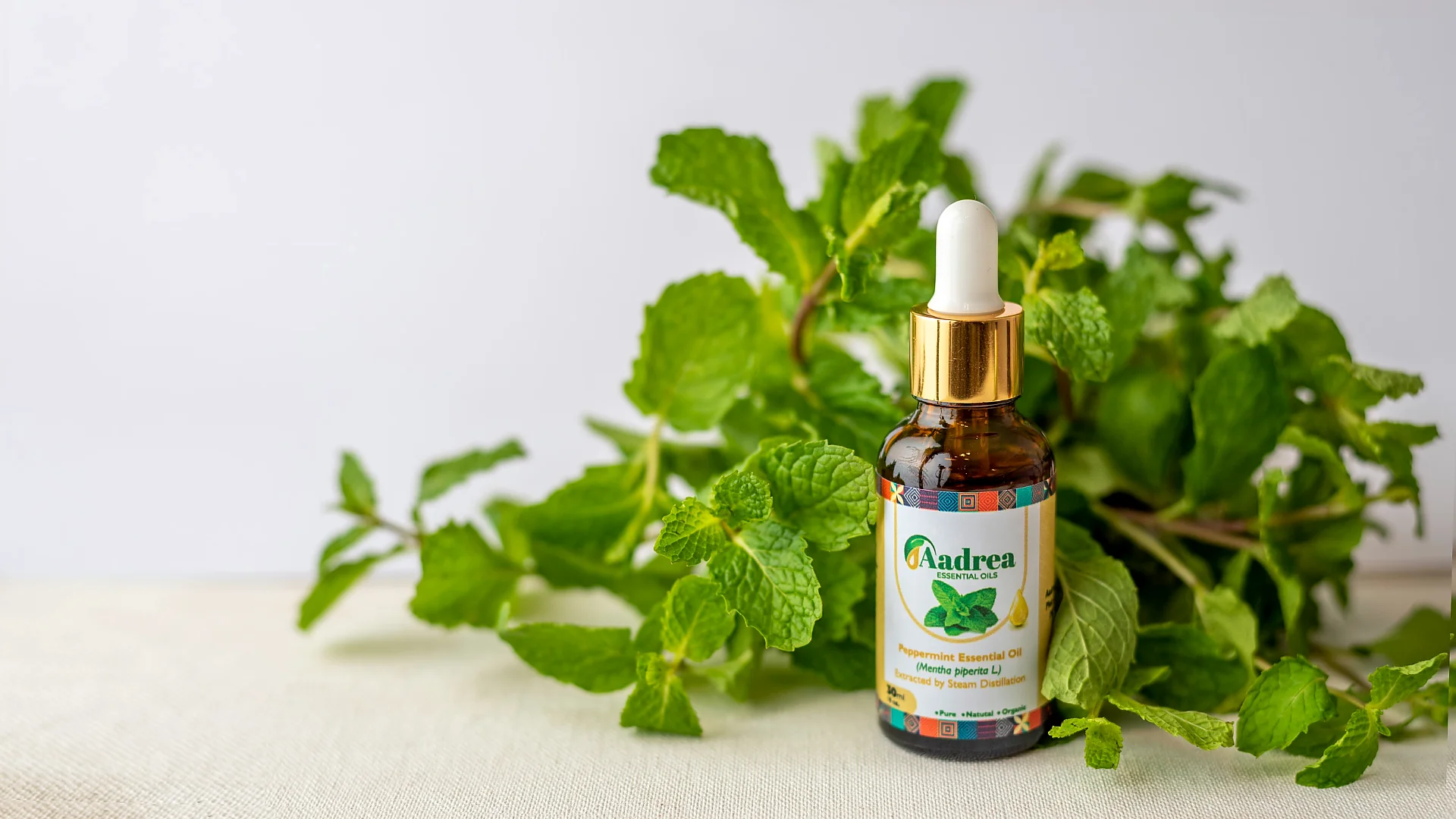 Close-up of a peppermint essential oil bottle surrounded by fresh peppermint leaves. Photo: Aadrea Essentials.
