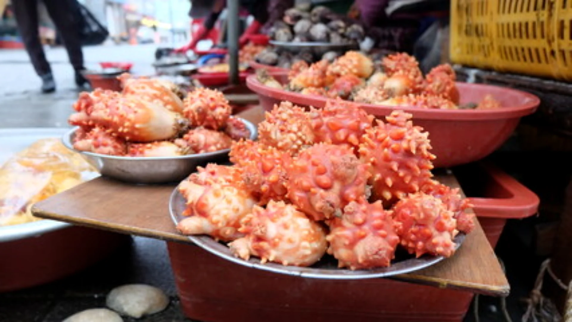 A close-up shot of a seafood market stall displaying mounds of fresh sea pineapples (Halocynthia roretzi). Source: Adobe