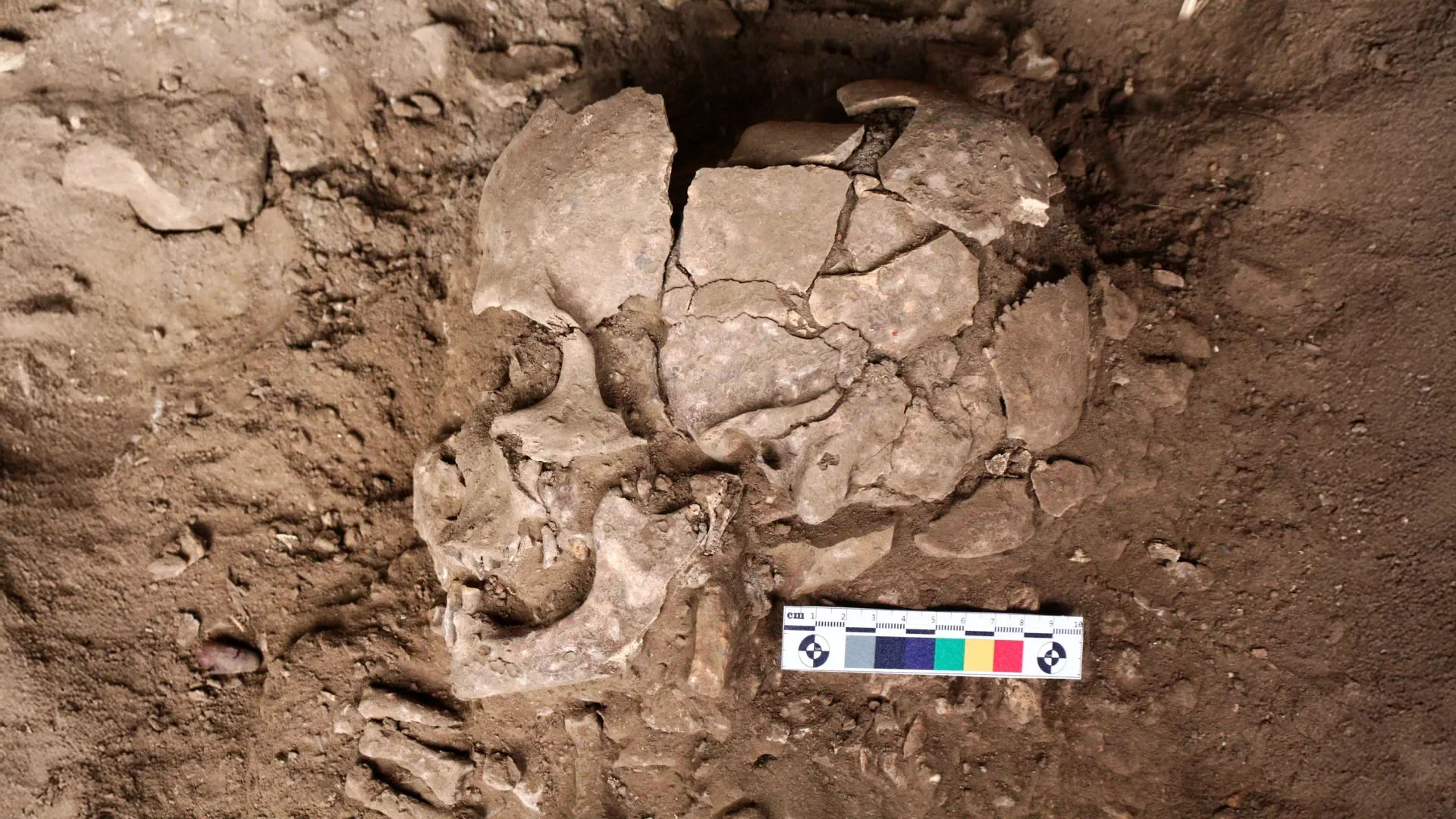 The CPL-2a human skeleton excavated in an archaeological trench revealing prehistoric betel nut use. Photo: Fakhri.