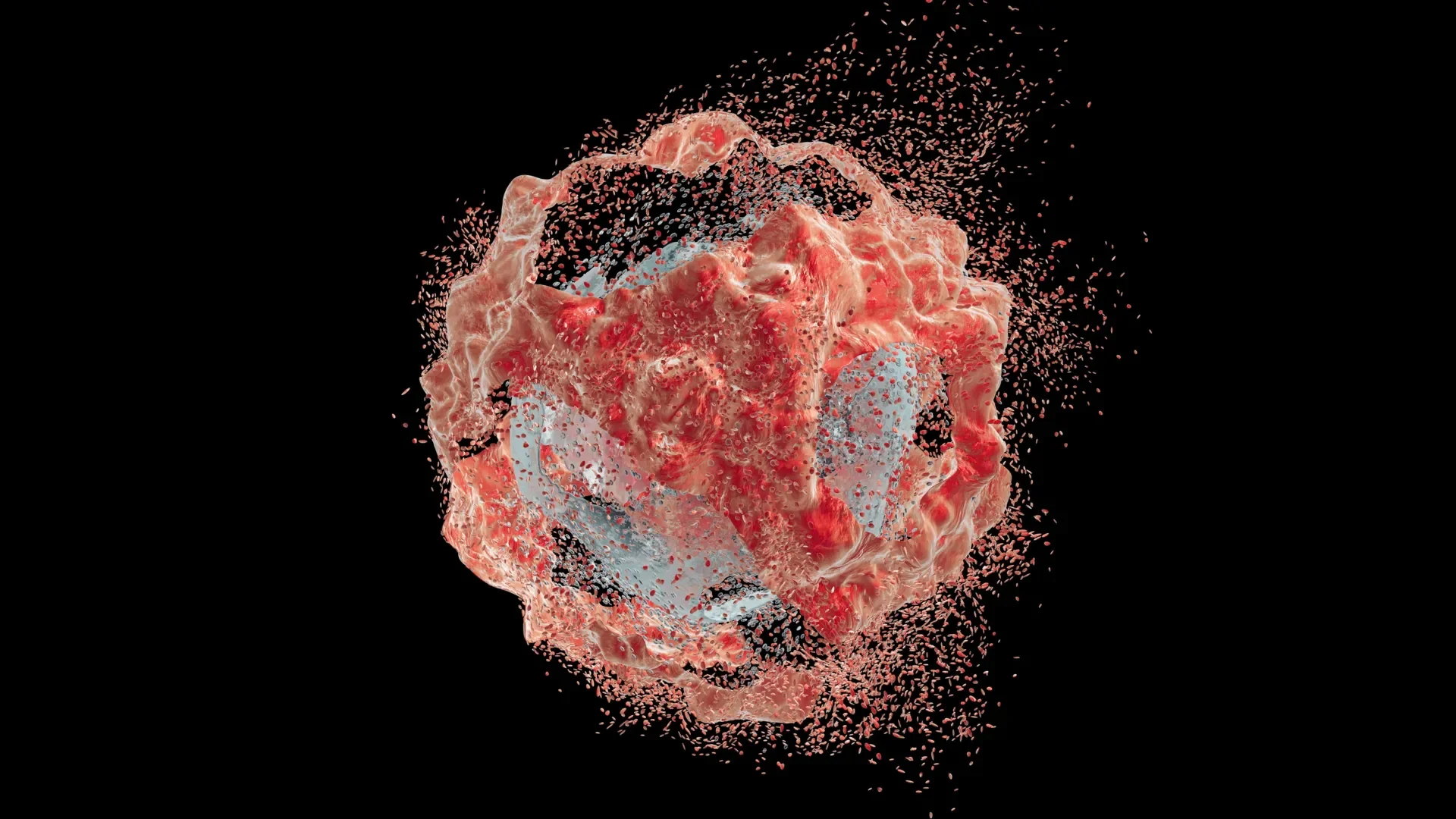 Illustration representing the inhibition of the IL1RAP inflammatory receptor in pancreatic cancer tumors. Credit: Shutte