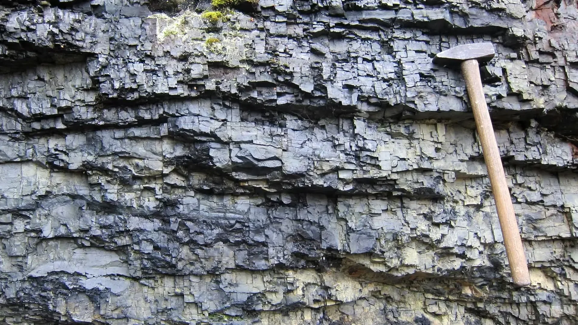 Geological sample of pyrobitumen-rich Karelian rock bearing a distinct carbon-isotope signal. Photo: Aivo Lepland.